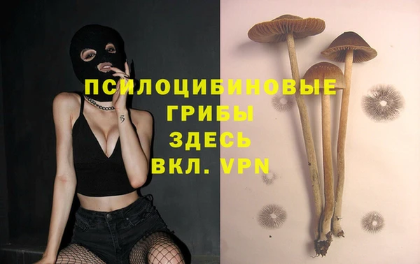 хмурый Медногорск