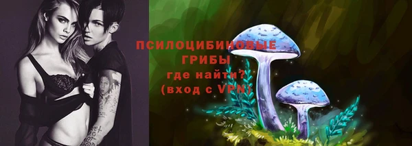 ПСИЛОЦИБИНОВЫЕ ГРИБЫ Мегион