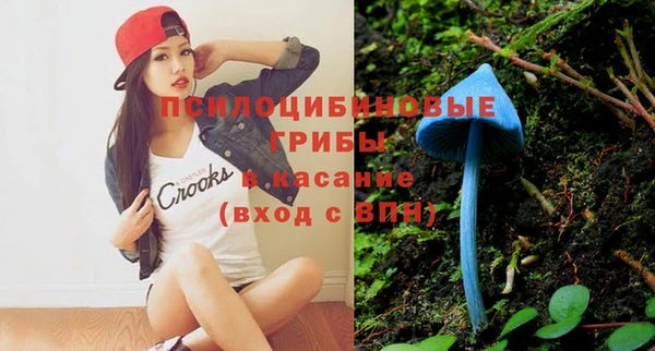 эйфоретик Михайлов