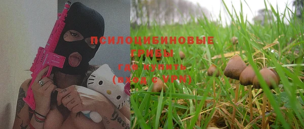 мяу мяу мука Медвежьегорск