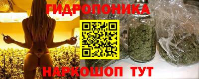 СК Донской