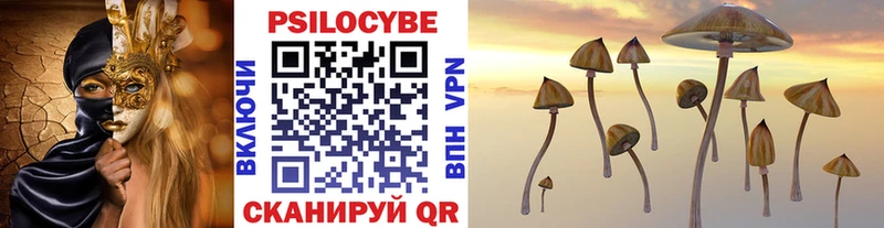 где можно купить   hydra ТОР  Галлюциногенные грибы Cubensis  Калач-на-Дону 