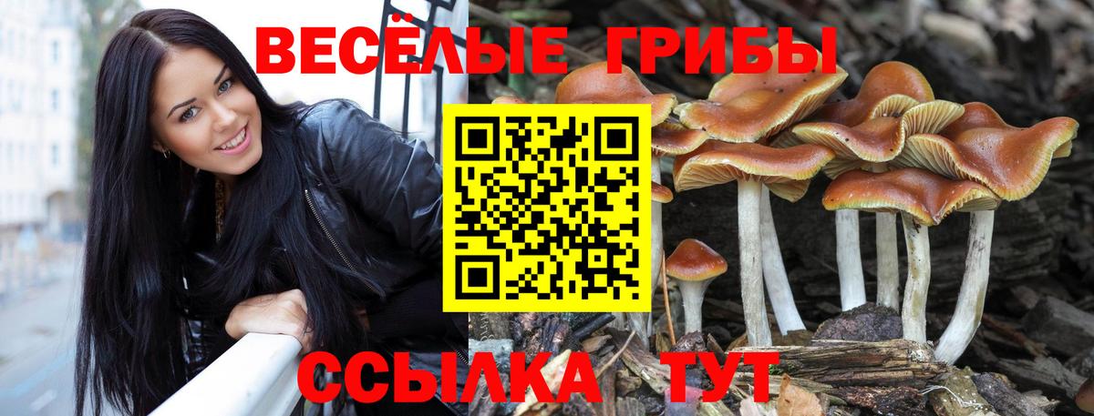 Галлюциногенные грибы мухоморы  Галлюциногенные грибы MAGIC MUSHROOMS  Калач-на-Дону 