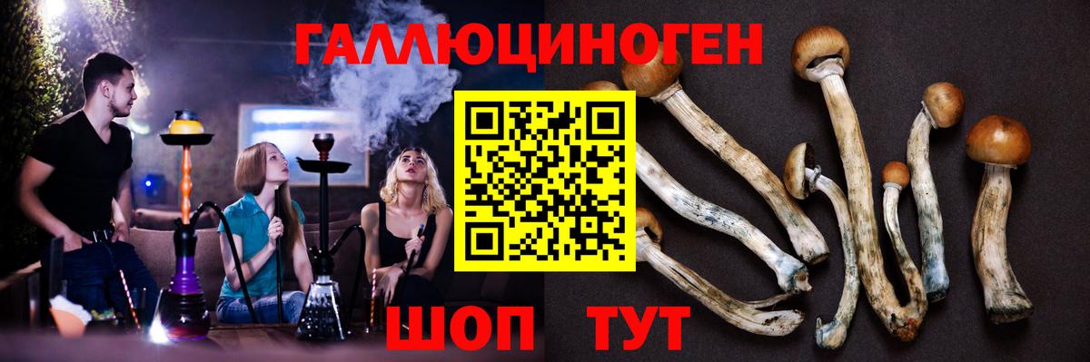Псилоцибиновые грибы Magic Shrooms  Вход с VPN  Калач-на-Дону 