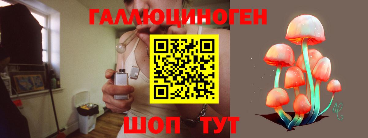 Псилоцибиновые грибы прущие грибы Калач-на-Дону